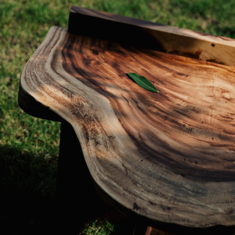 Kazanahome | Expressing the Essence of Nature