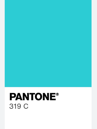 Custom Table Legs Poplar Wood for Joey