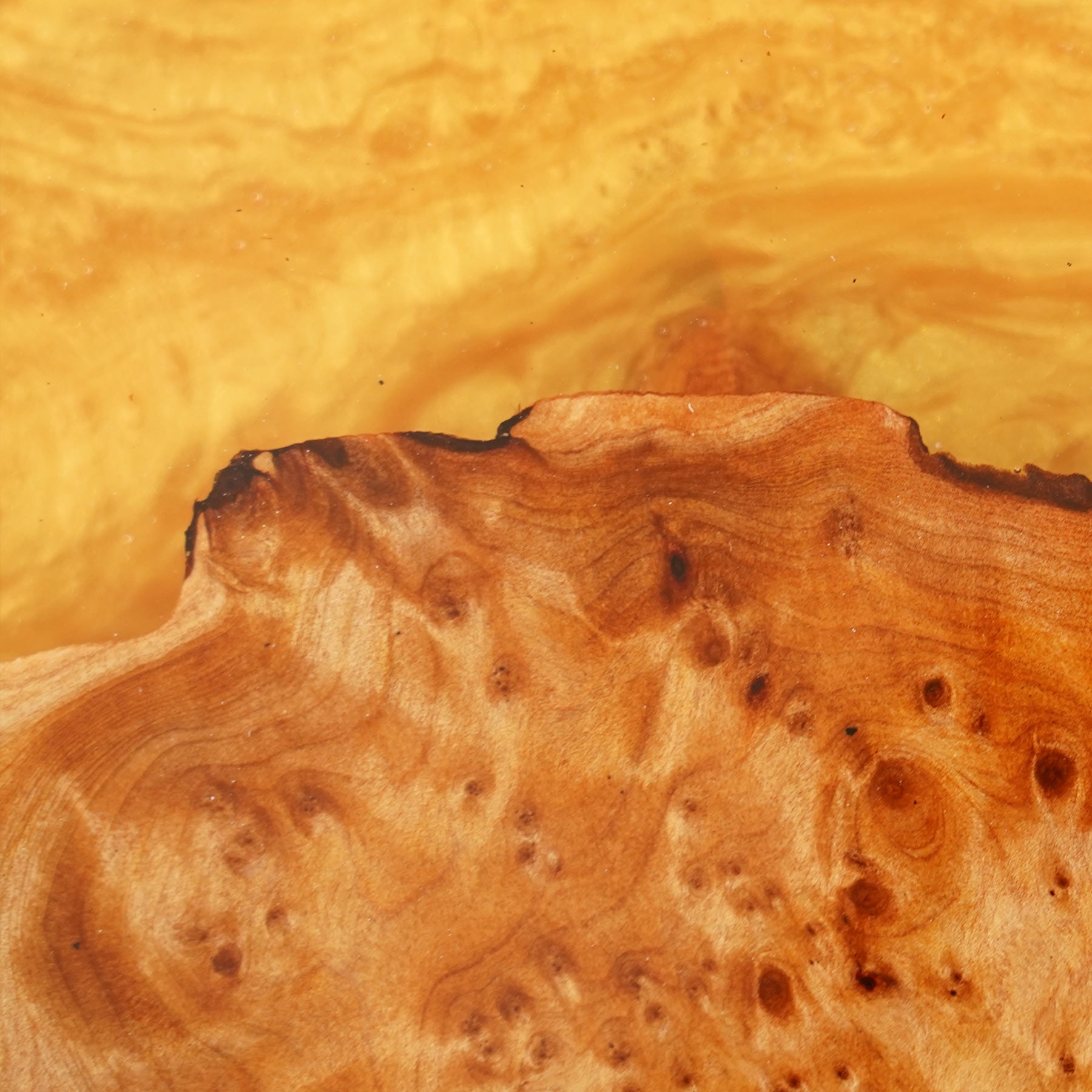 KAZANAHOME-epoxy-resin-cunninghamia-dining-table-3 in Chicago