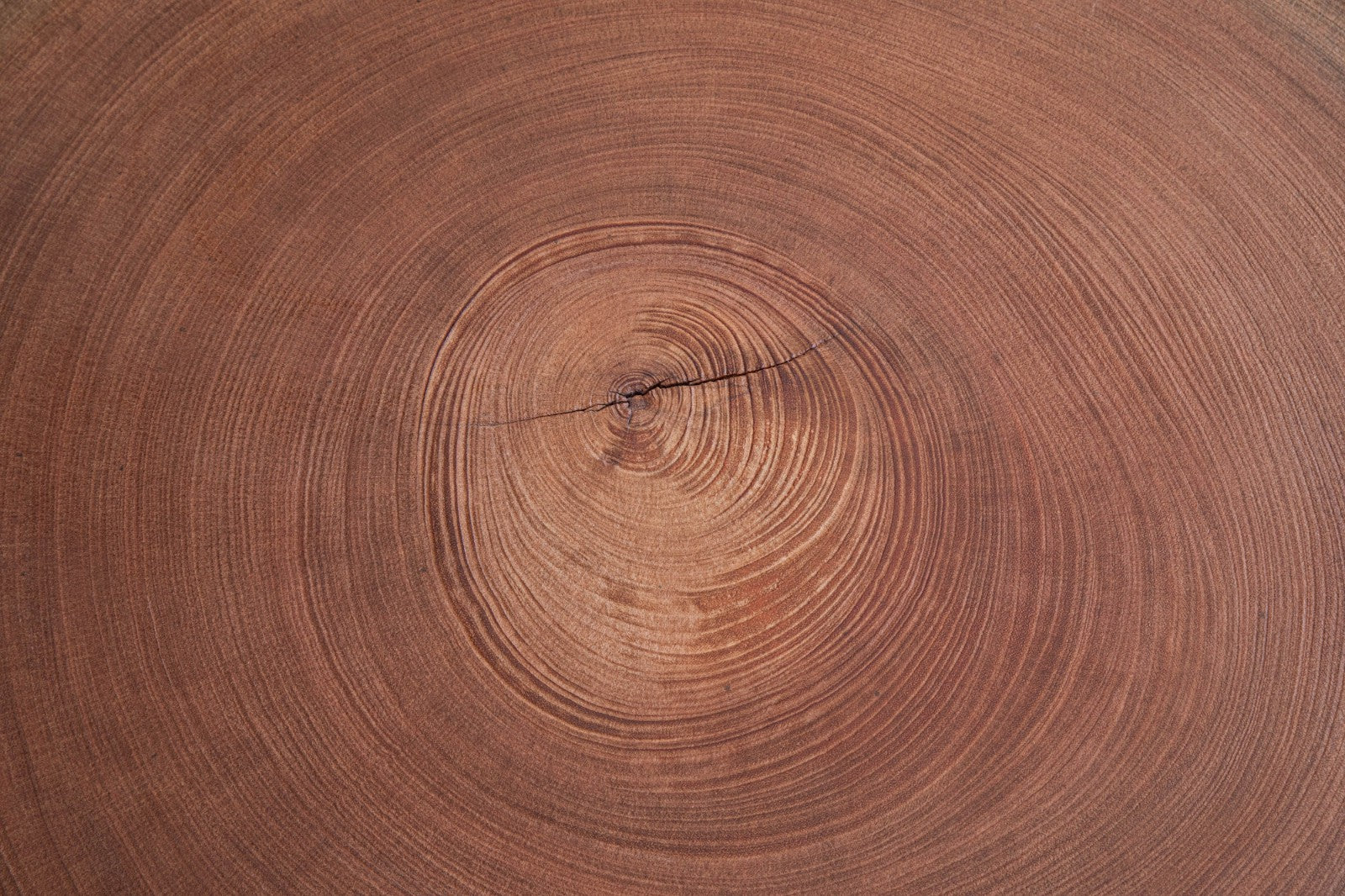 KAZANA Home Round Wood Coffee Table SP83-74-13